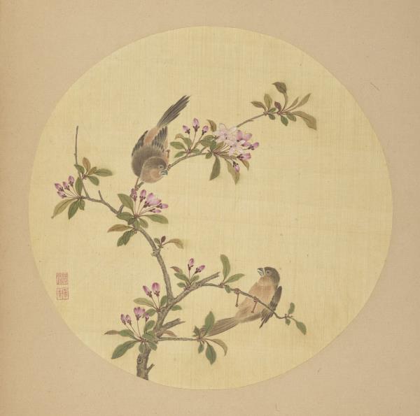 清蔣廷錫畫花鳥　冊　貼梗海棠