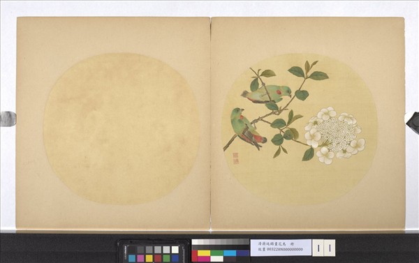 清蔣廷錫畫花鳥　冊　繡球雙禽