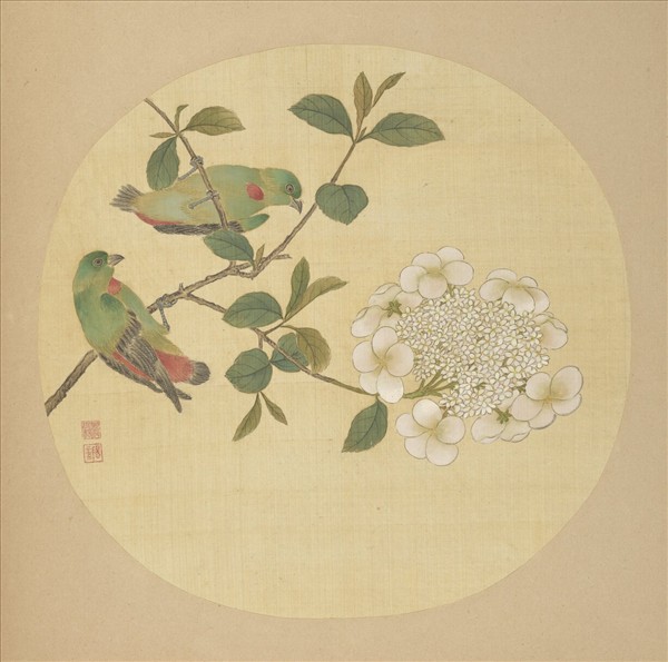 清蔣廷錫畫花鳥　冊　繡球雙禽