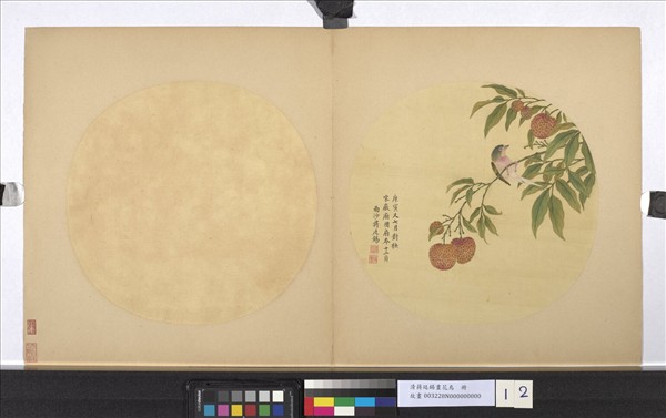 清蔣廷錫畫花鳥　冊　荔枝