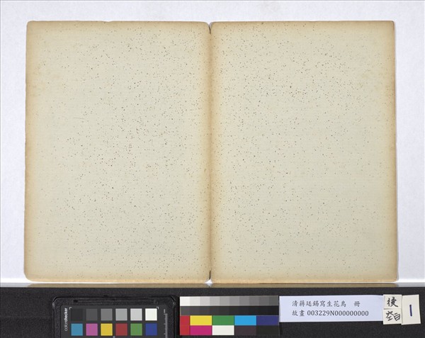 清蔣廷錫寫生花鳥　冊