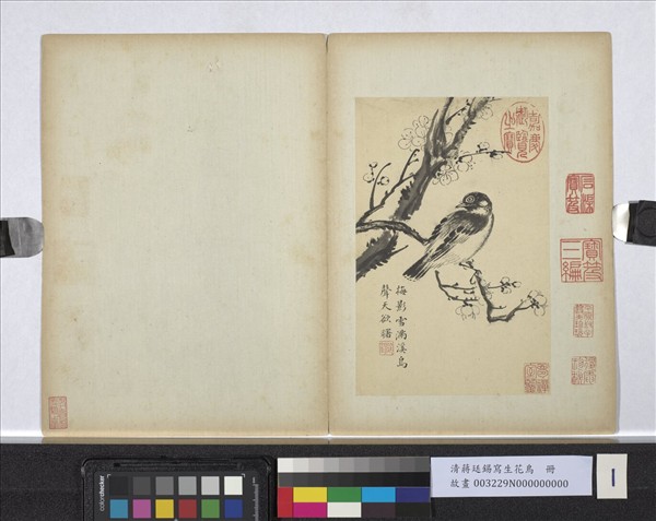 清蔣廷錫寫生花鳥　冊　梅影鳥聲