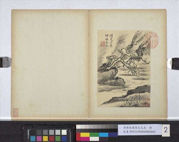 清蔣廷錫寫生花鳥　冊　瓊芝玉泉