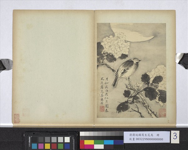 清蔣廷錫寫生花鳥　冊　鳥夢悠然