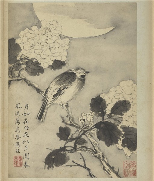 清蔣廷錫寫生花鳥　冊　鳥夢悠然