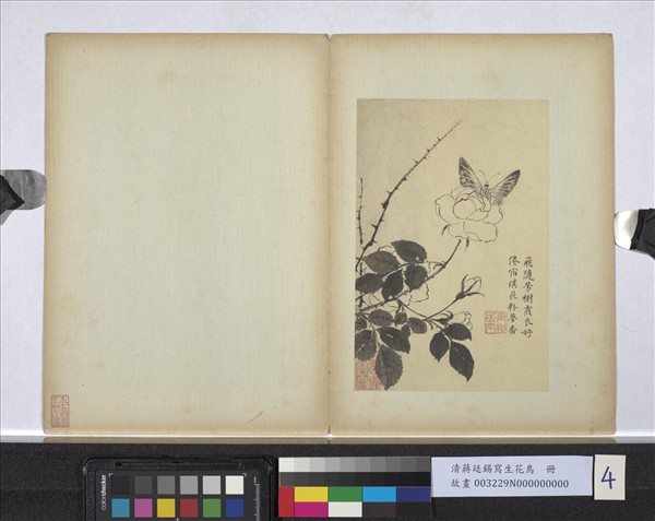 清蔣廷錫寫生花鳥　冊　飛隨芳樹