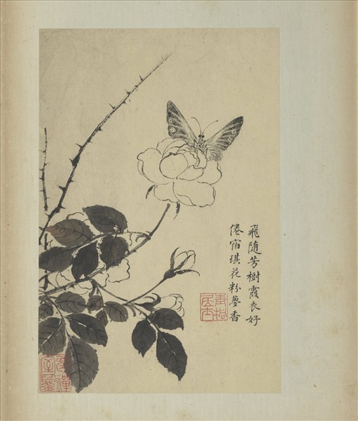 清蔣廷錫寫生花鳥　冊　飛隨芳樹