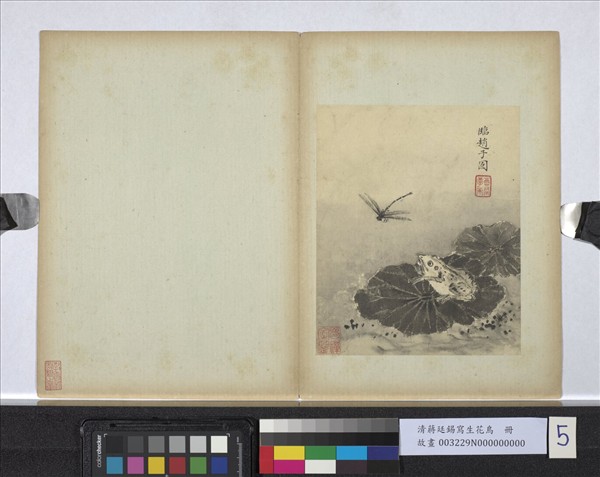 清蔣廷錫寫生花鳥　冊　荷蛙蜻蜓