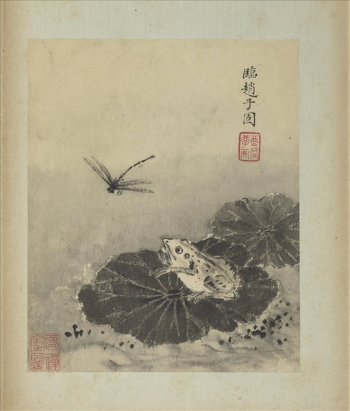 清蔣廷錫寫生花鳥　冊　荷蛙蜻蜓