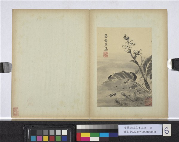 清蔣廷錫寫生花鳥　冊　莕香魚藻