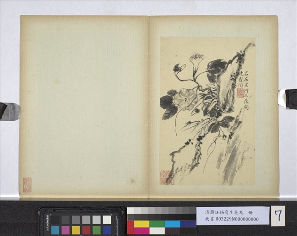 清蔣廷錫寫生花鳥　冊　花開曉露