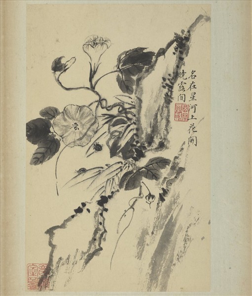 清蔣廷錫寫生花鳥　冊　花開曉露