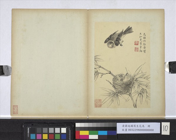 清蔣廷錫寫生花鳥　冊　鳥雛張嘴