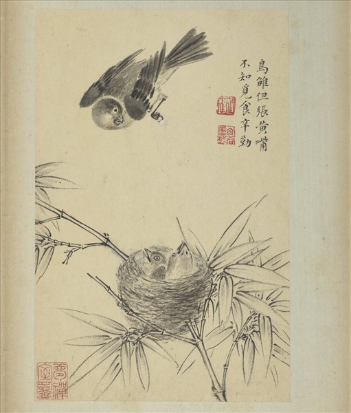 清蔣廷錫寫生花鳥　冊　鳥雛張嘴