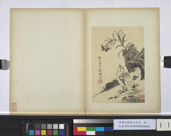 清蔣廷錫寫生花鳥　冊　雞雛捎蝶