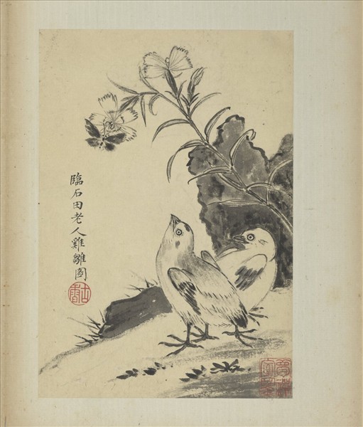 清蔣廷錫寫生花鳥　冊　雞雛捎蝶