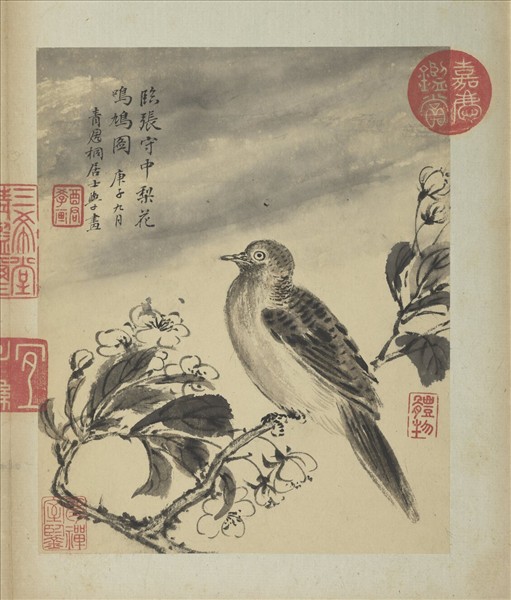 清蔣廷錫寫生花鳥　冊　梨花鳴鳩