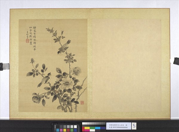 清蔣廷錫仿宋人花鳥　冊　月季山鳥