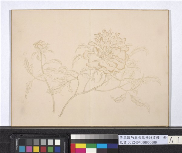 清王圖炳春景花卉詩畫冊　冊