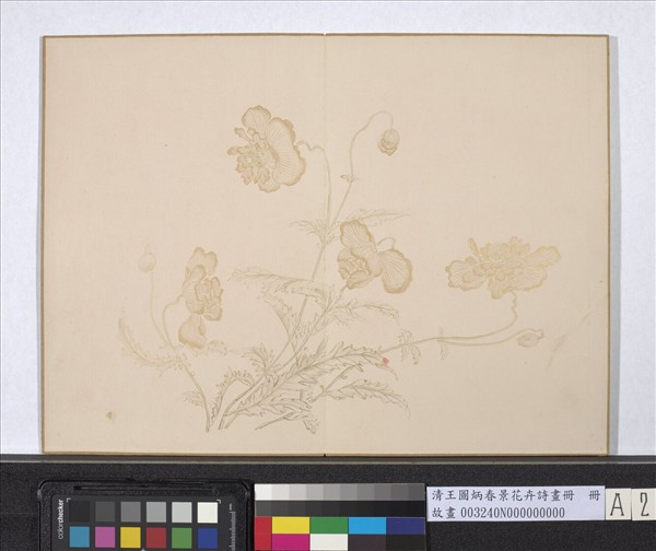清王圖炳春景花卉詩畫冊　冊