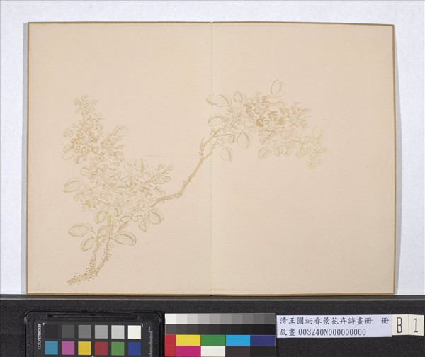 清王圖炳春景花卉詩畫冊　冊