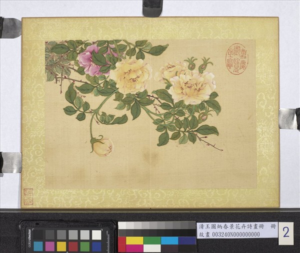清王圖炳春景花卉詩畫冊　冊　薔薇