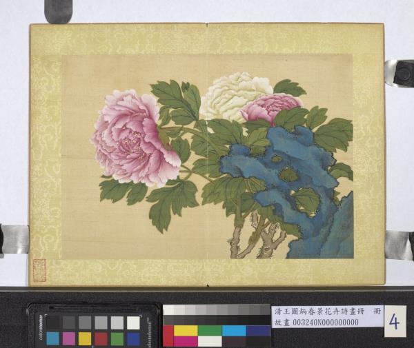 清王圖炳春景花卉詩畫冊　冊　牡丹