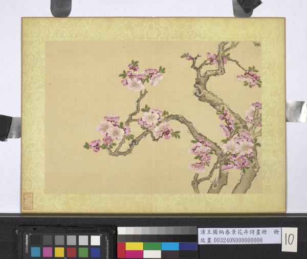 清王圖炳春景花卉詩畫冊　冊　杏花