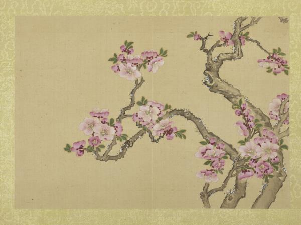 清王圖炳春景花卉詩畫冊　冊　杏花
