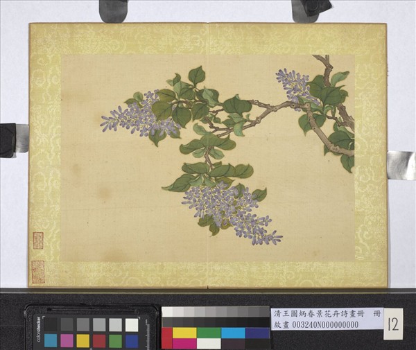 清王圖炳春景花卉詩畫冊　冊　丁香