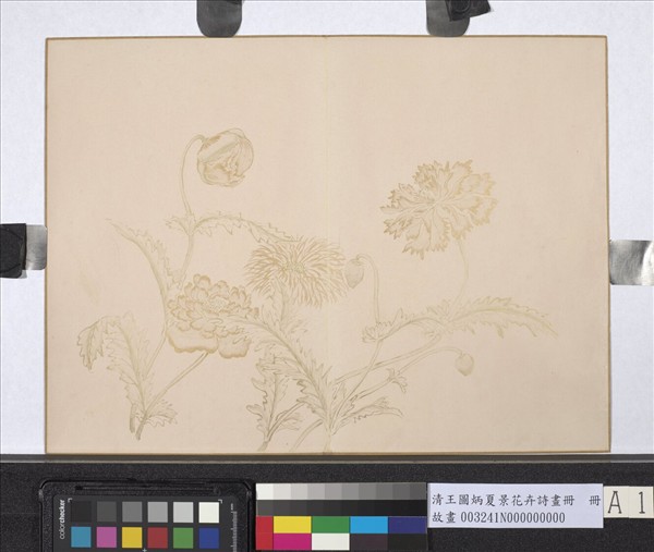 清王圖炳夏景花卉詩畫冊　冊