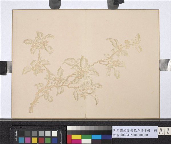 清王圖炳夏景花卉詩畫冊　冊