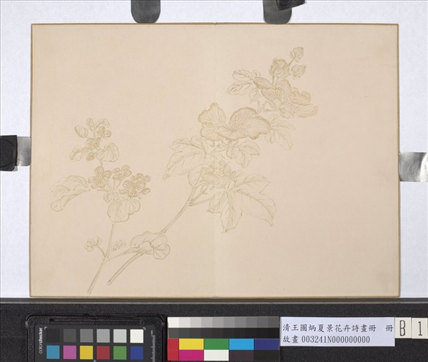 清王圖炳夏景花卉詩畫冊　冊