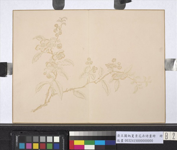 清王圖炳夏景花卉詩畫冊　冊