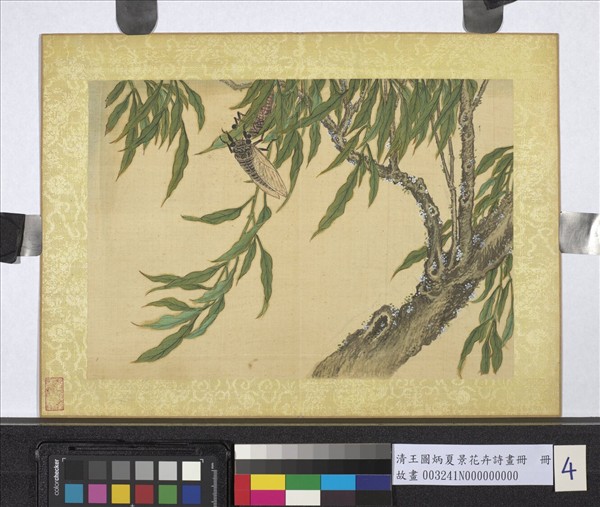 清王圖炳夏景花卉詩畫冊　冊　柳蟬