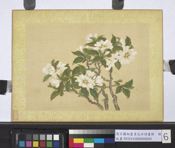 清王圖炳夏景花卉詩畫冊　冊　梔子花