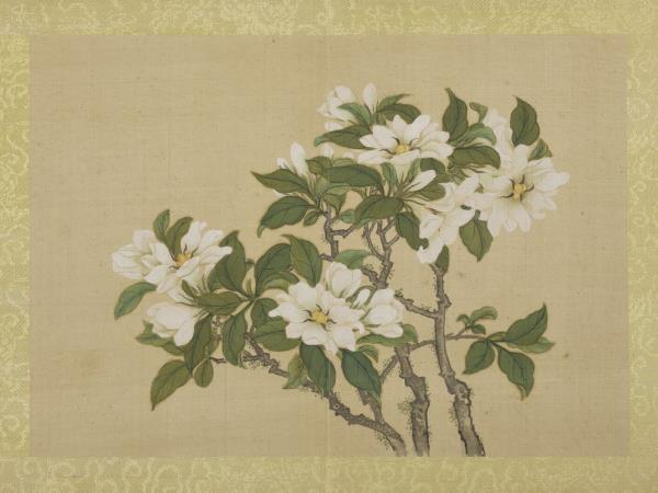 清王圖炳夏景花卉詩畫冊　冊　梔子花