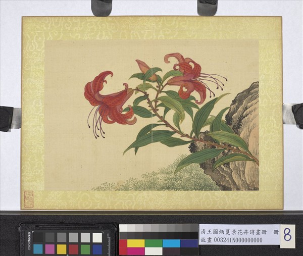 清王圖炳夏景花卉詩畫冊　冊　山丹