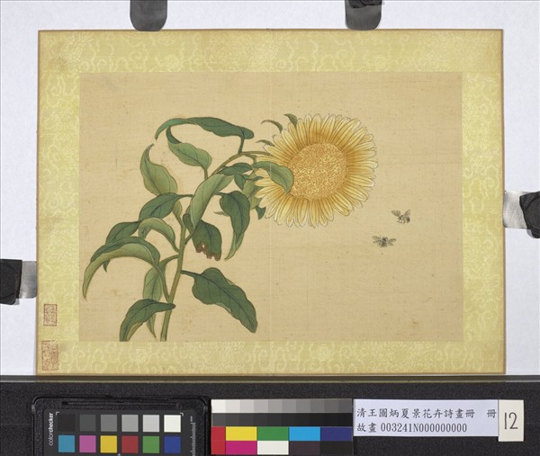 清王圖炳夏景花卉詩畫冊　冊　向日葵