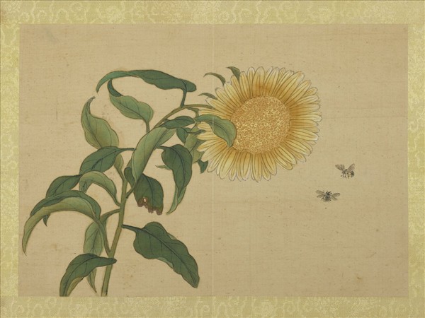 清王圖炳夏景花卉詩畫冊　冊　向日葵