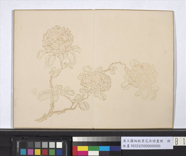 清王圖炳秋景花卉詩畫冊　冊