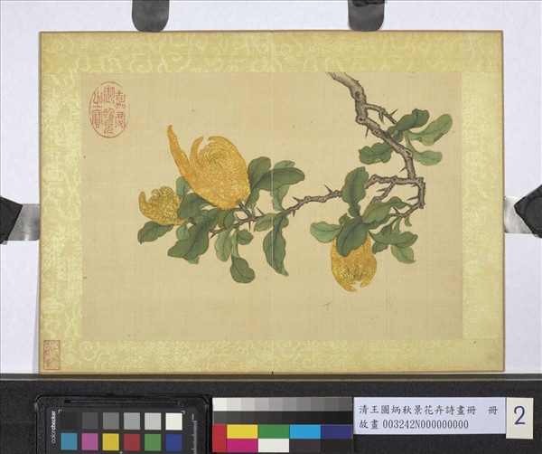 清王圖炳秋景花卉詩畫冊　冊　佛手