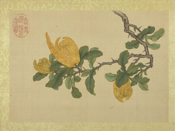 清王圖炳秋景花卉詩畫冊　冊　佛手