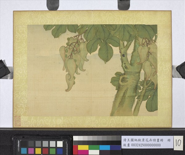 清王圖炳秋景花卉詩畫冊　冊　梧桐