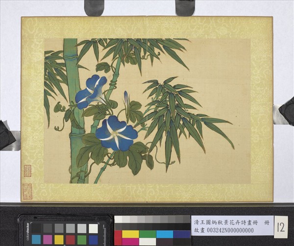 清王圖炳秋景花卉詩畫冊　冊　牽牛花