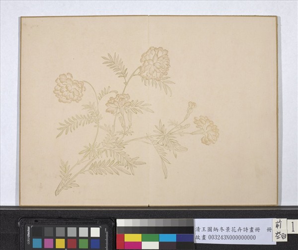 清王圖炳冬景花卉詩畫冊　冊