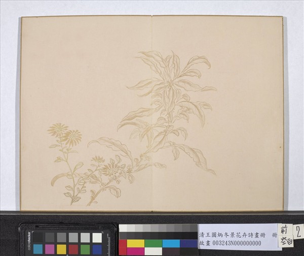 清王圖炳冬景花卉詩畫冊　冊