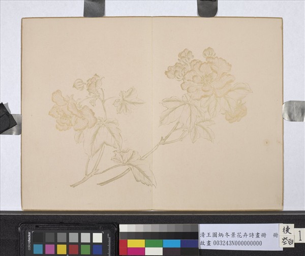清王圖炳冬景花卉詩畫冊　冊
