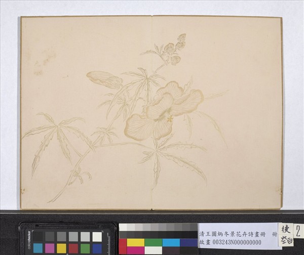 清王圖炳冬景花卉詩畫冊　冊