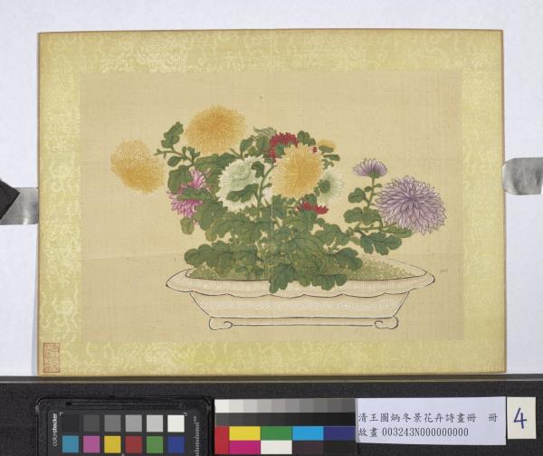 清王圖炳冬景花卉詩畫冊　冊　盆菊